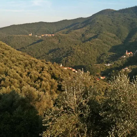 公寓 Frantoio By Interhome