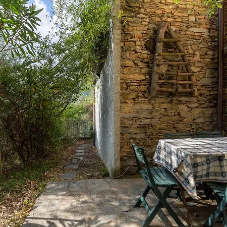 公寓 Frantoio By Interhome *